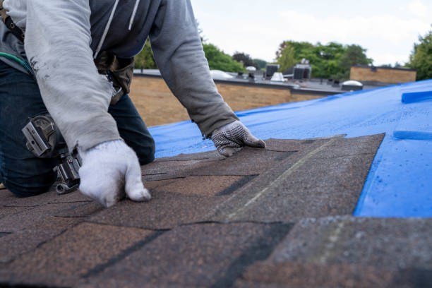 Best Roof Maintenance Services  in Eunice, NM