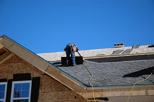 Best Roof Gutter Cleaning  in Eunice, NM
